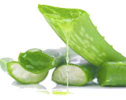 aloevera