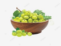 indian gooseberries
