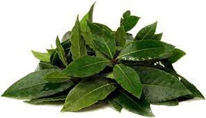 bay leaves