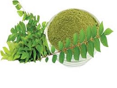 curry leaves
