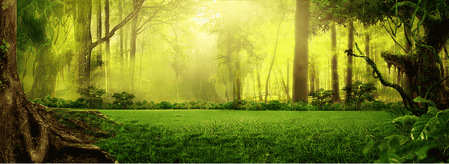 nature image